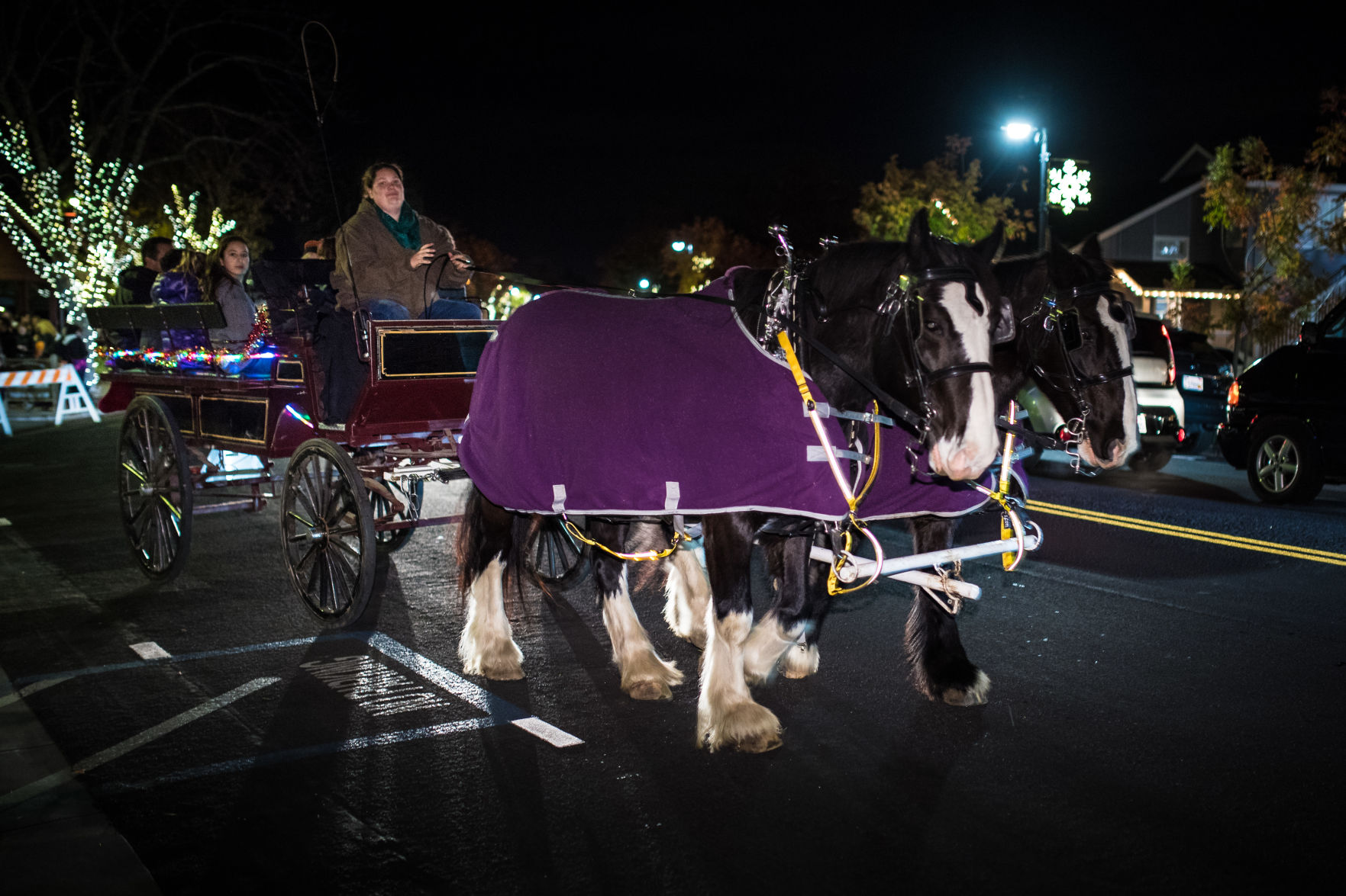 Free Carriage Rides